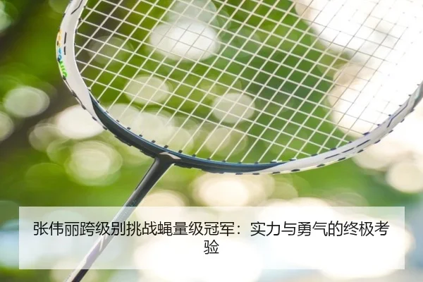 张伟丽跨级别挑战蝇量级冠军：实力与勇气的终极考验