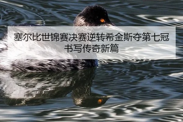 sai-er-bi-shi-jin-sai-jue-sai-ni-zhuan-xi-jin-si-duo-di-qi-guan-shu-xie-chuan-qi-xin-pian-3-864.jpg