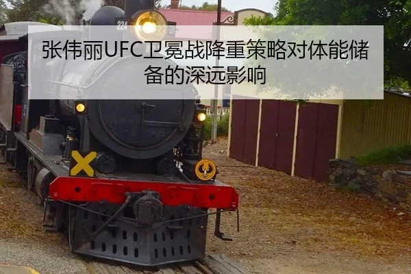 zhang-wei-li-wei-mian-zhan-jiang-zhong-ce-lve-dui-ti-neng-chu-bei-de-shen-yuan-ying-xiang-3-431.jpg